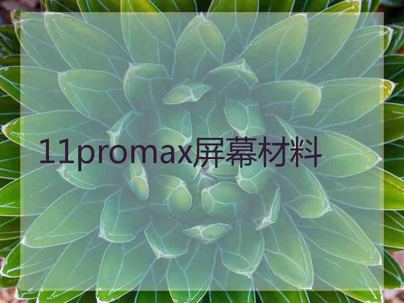 11promax屏幕材料