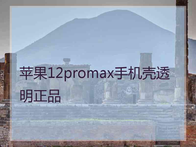 苹果12promax手机壳透明正品