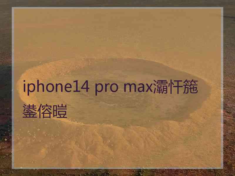 iphone14 pro max灞忓箷鍙傛暟