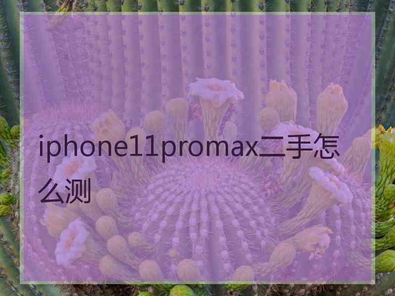 iphone11promax二手怎么测