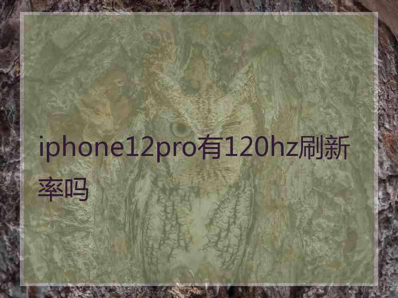 iphone12pro有120hz刷新率吗