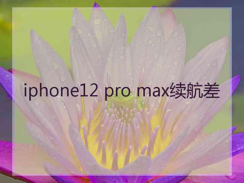 iphone12 pro max续航差