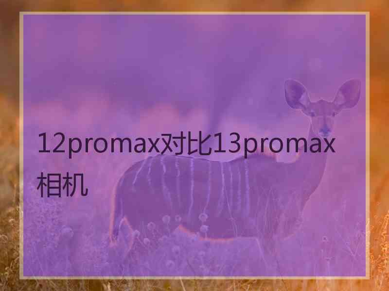 12promax对比13promax相机