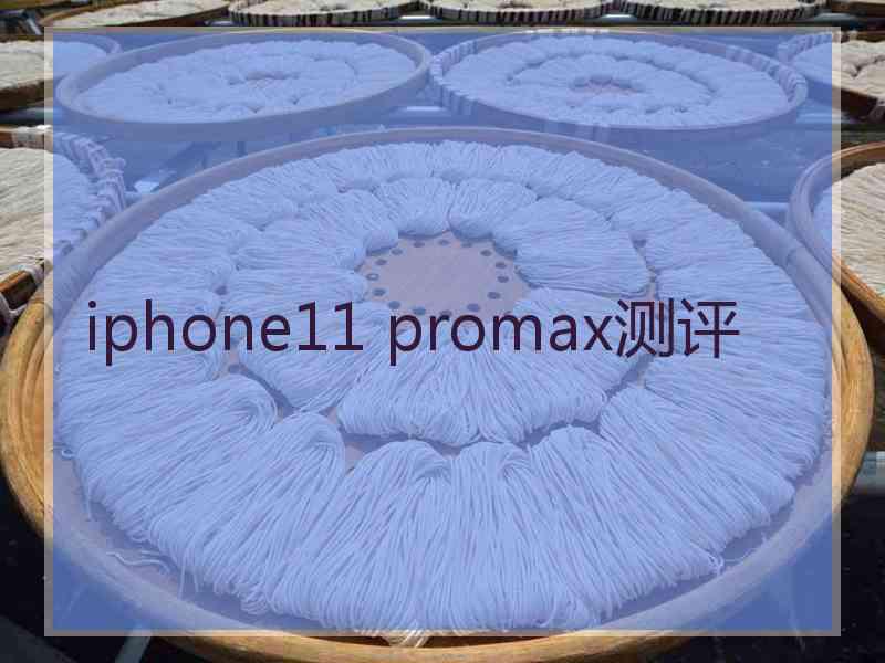 iphone11 promax测评