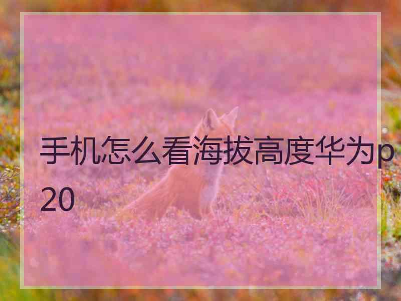 手机怎么看海拔高度华为p20