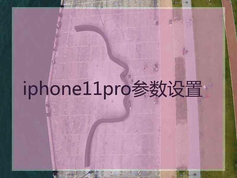 iphone11pro参数设置