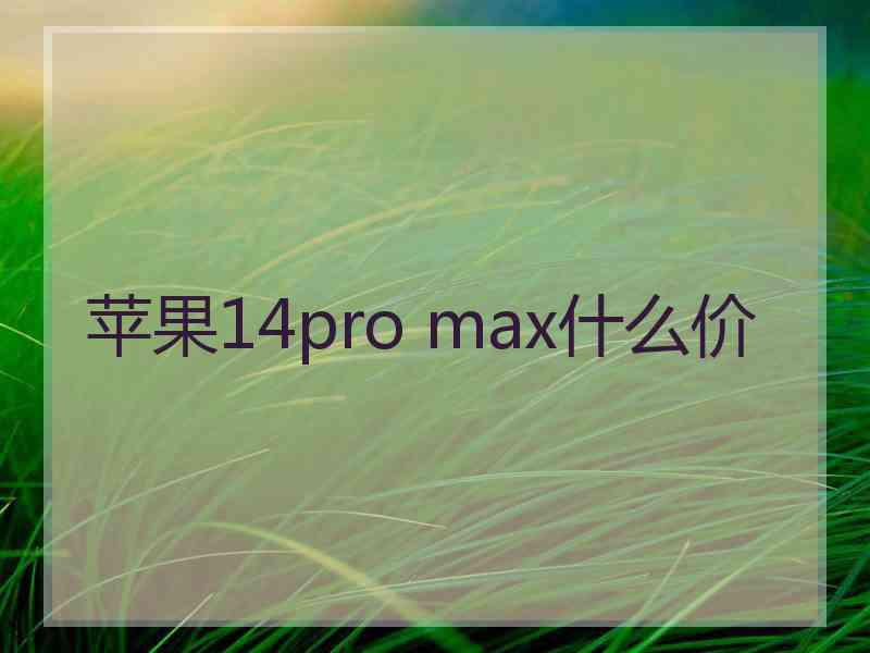 苹果14pro max什么价