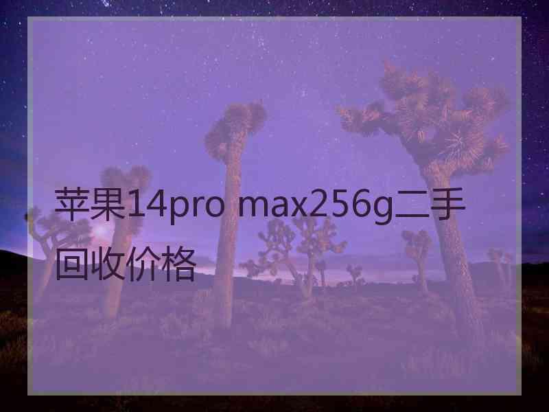 苹果14pro max256g二手回收价格