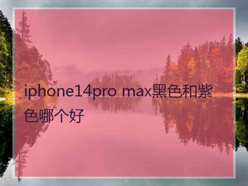 iphone14pro max黑色和紫色哪个好