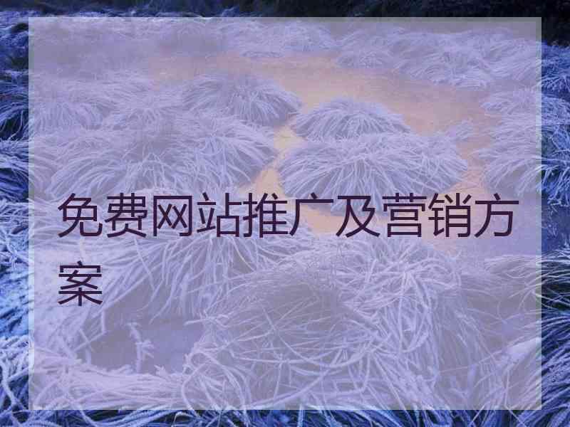 免费网站推广及营销方案