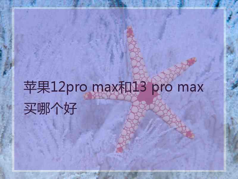 苹果12pro max和13 pro max买哪个好