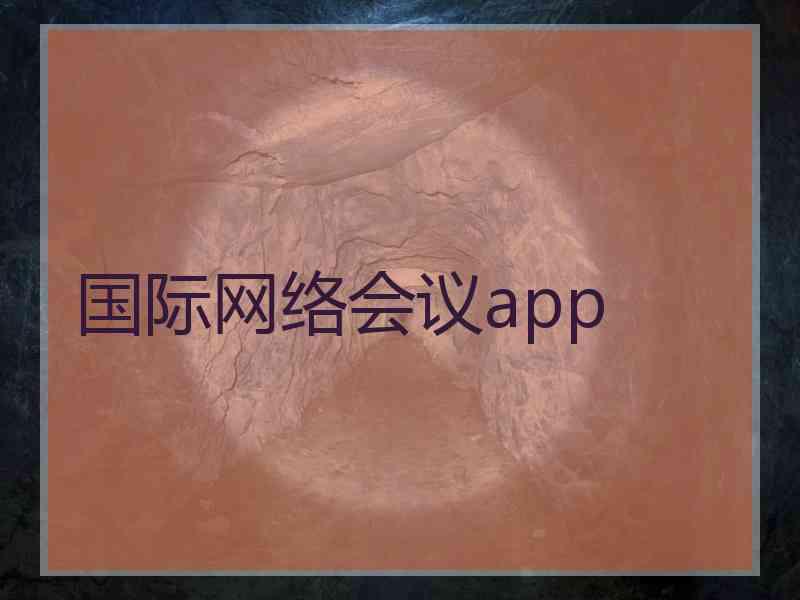 国际网络会议app