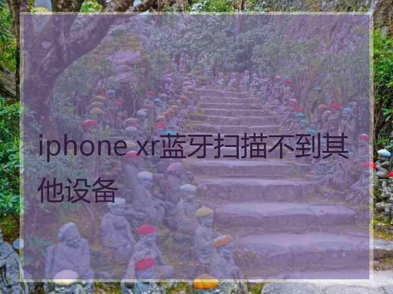 iphone xr蓝牙扫描不到其他设备