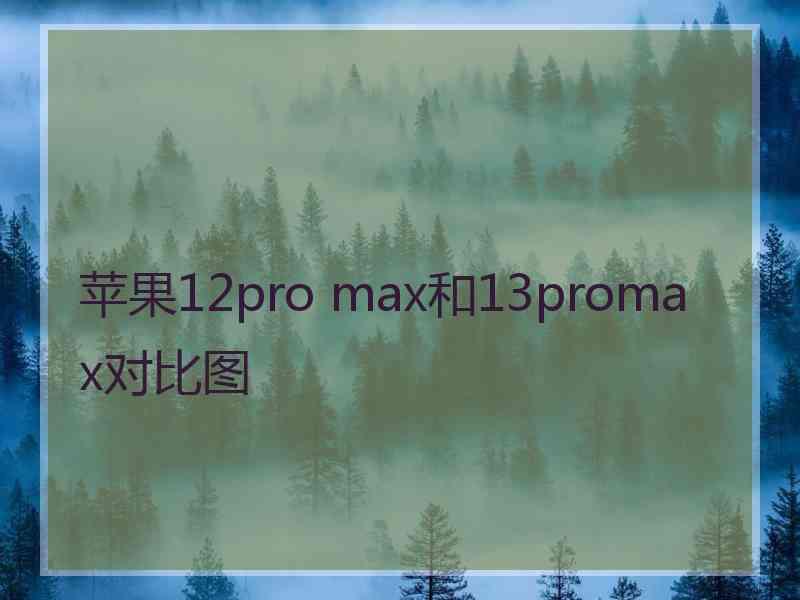 苹果12pro max和13promax对比图