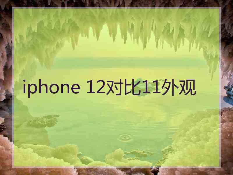 iphone 12对比11外观