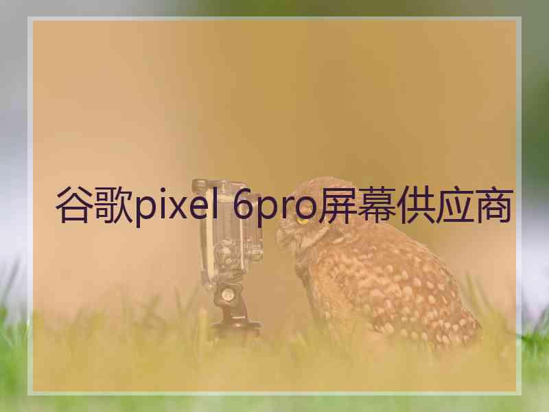 谷歌pixel 6pro屏幕供应商