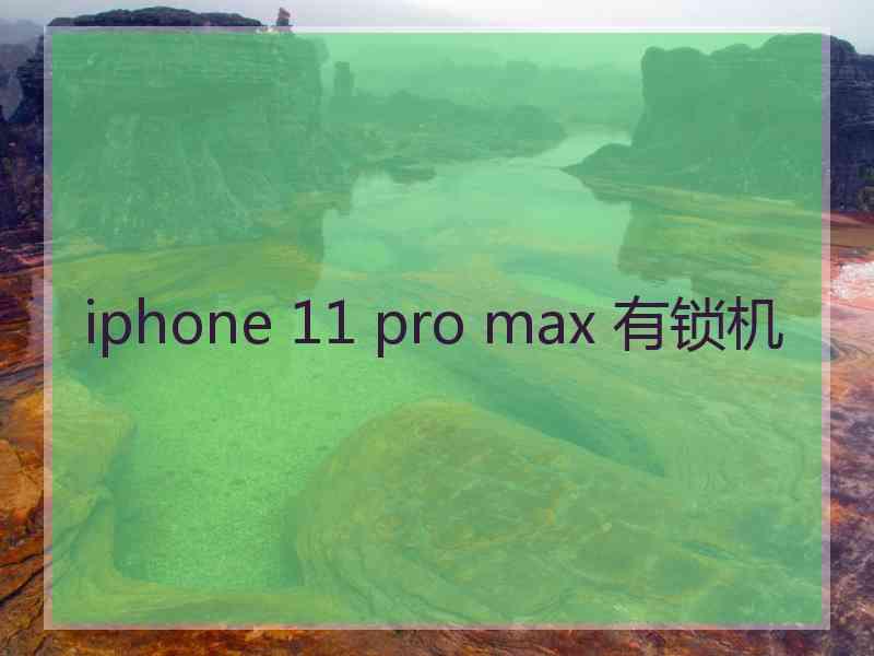 iphone 11 pro max 有锁机