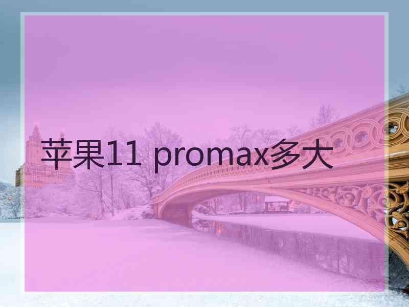 苹果11 promax多大