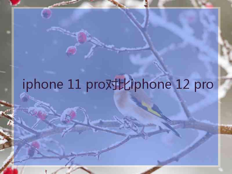 iphone 11 pro对比iphone 12 pro