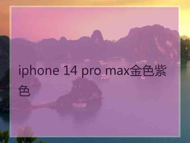 iphone 14 pro max金色紫色