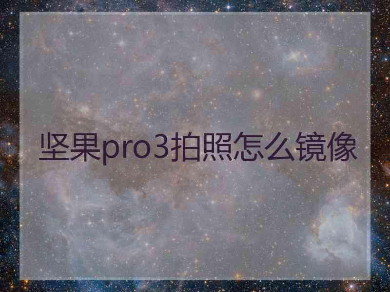 坚果pro3拍照怎么镜像