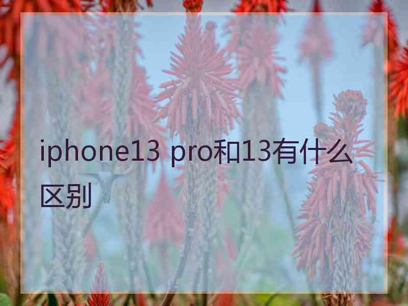 iphone13 pro和13有什么区别