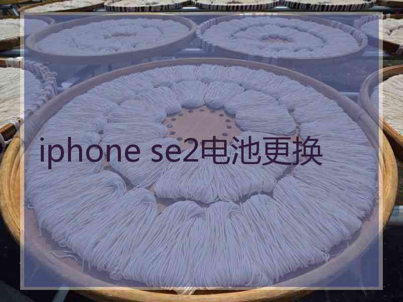 iphone se2电池更换