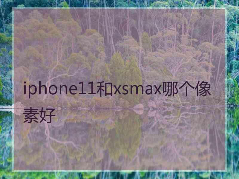 iphone11和xsmax哪个像素好