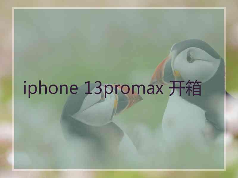 iphone 13promax 开箱