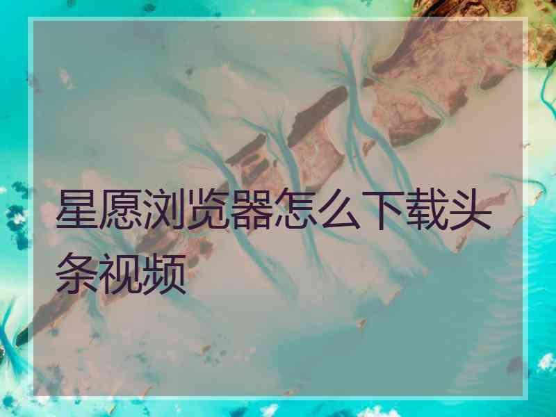 星愿浏览器怎么下载头条视频