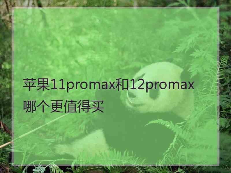 苹果11promax和12promax哪个更值得买