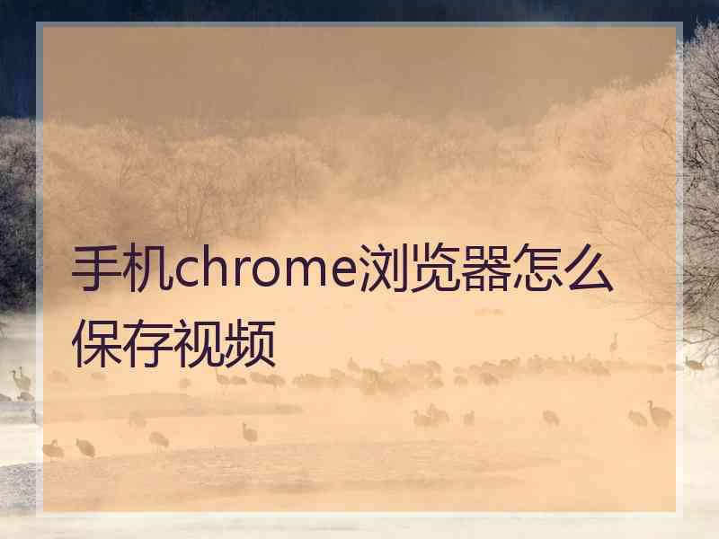 手机chrome浏览器怎么保存视频