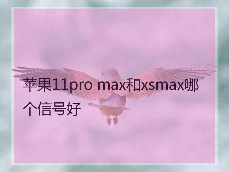 苹果11pro max和xsmax哪个信号好