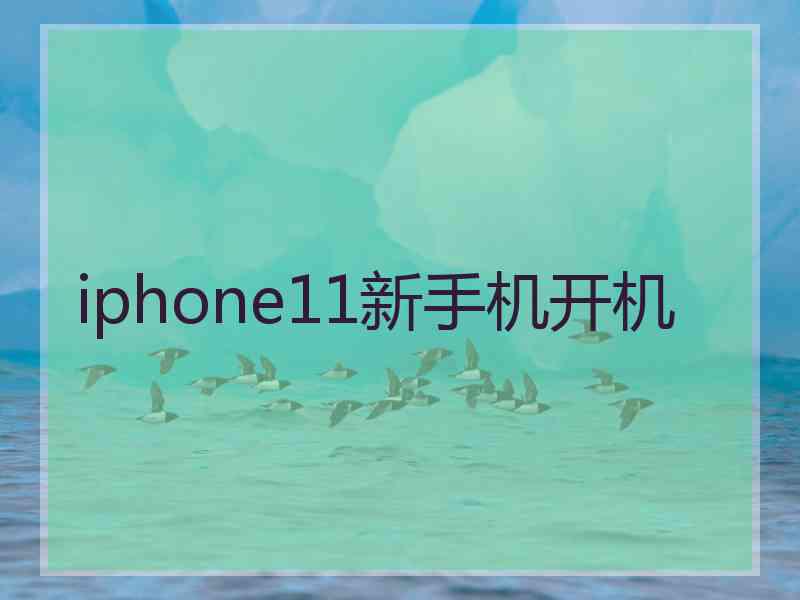 iphone11新手机开机