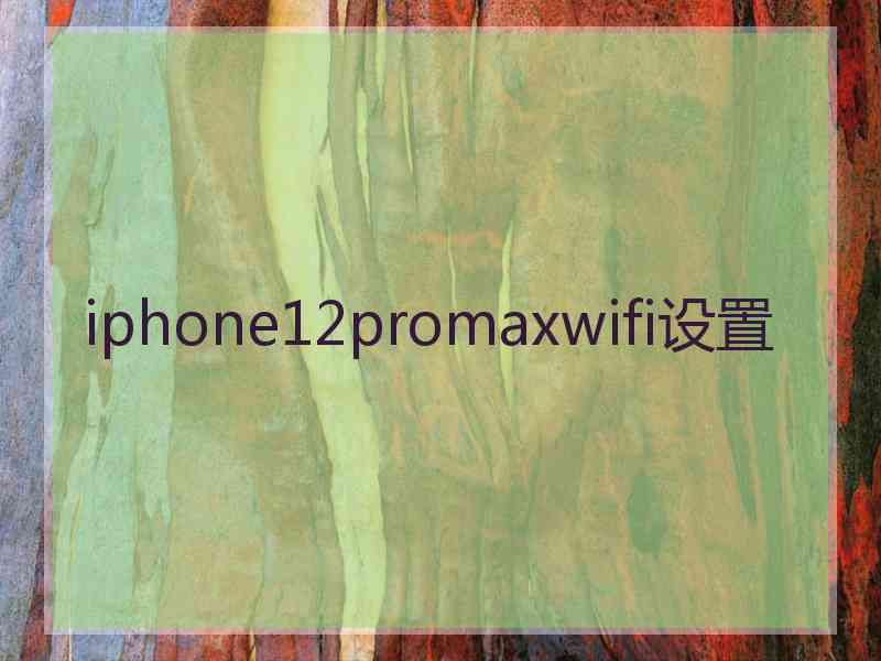 iphone12promaxwifi设置