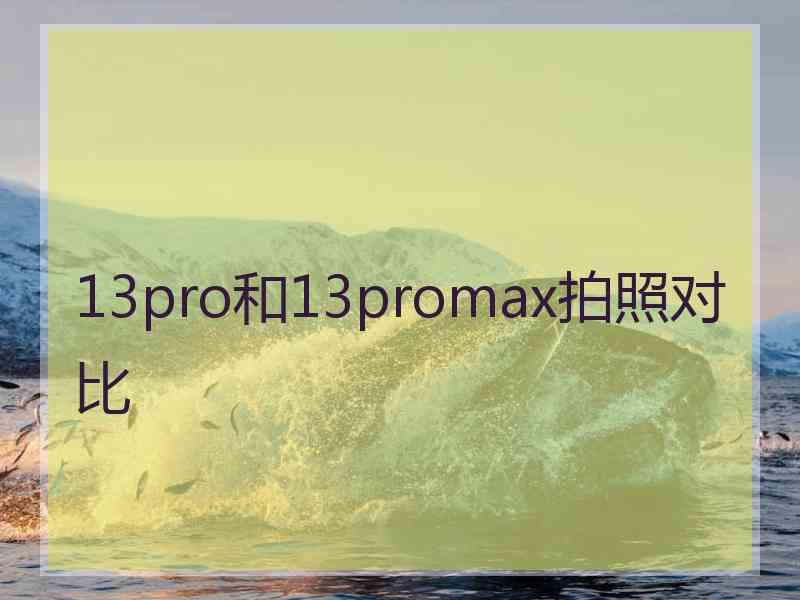 13pro和13promax拍照对比