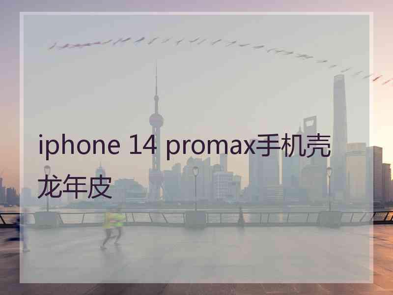 iphone 14 promax手机壳龙年皮