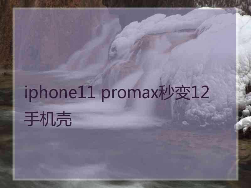 iphone11 promax秒变12手机壳