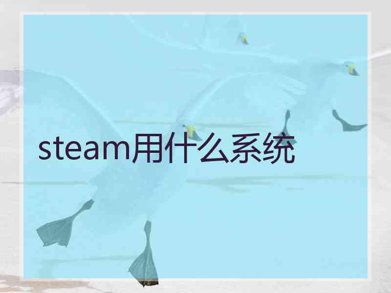 steam用什么系统