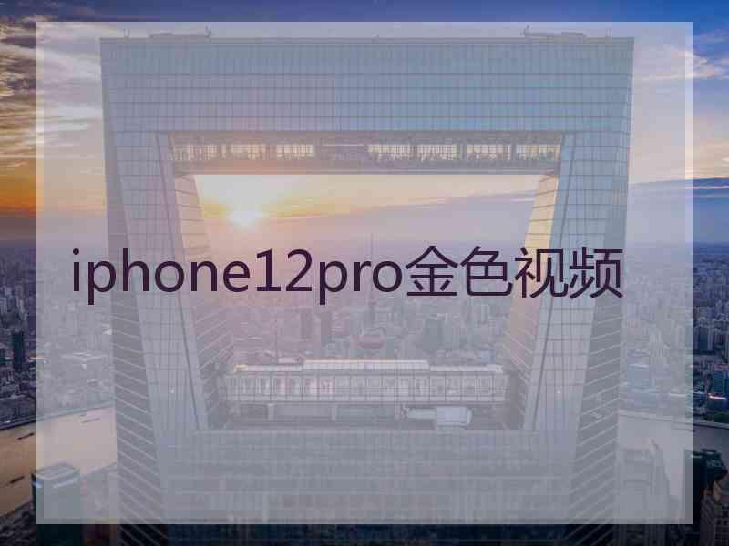 iphone12pro金色视频