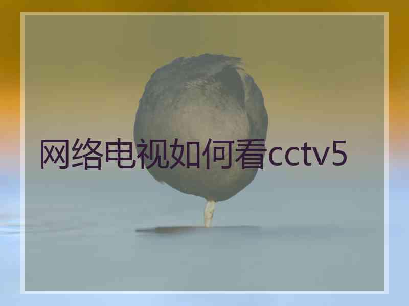 网络电视如何看cctv5