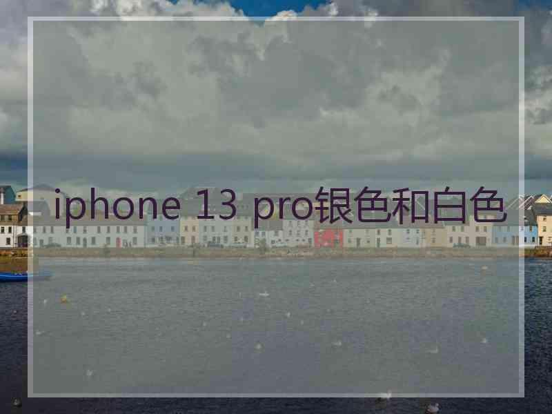 iphone 13 pro银色和白色