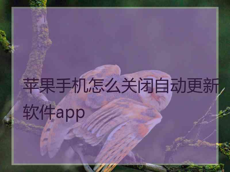 苹果手机怎么关闭自动更新软件app