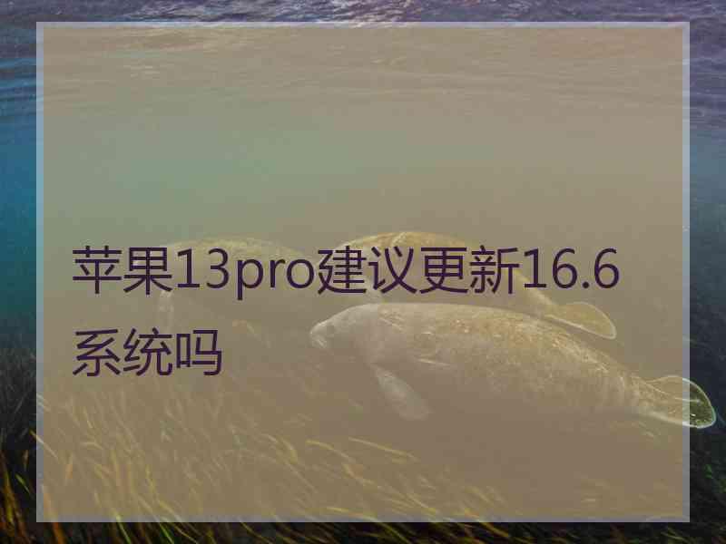 苹果13pro建议更新16.6系统吗