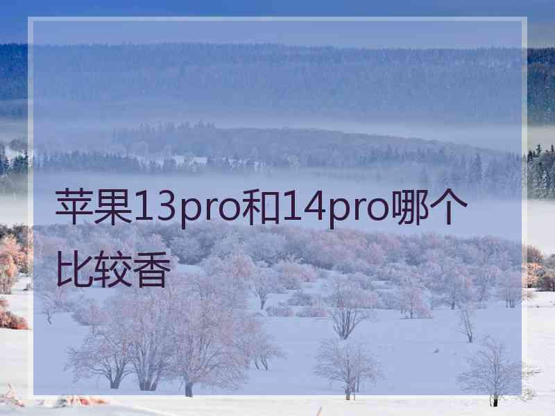 苹果13pro和14pro哪个比较香