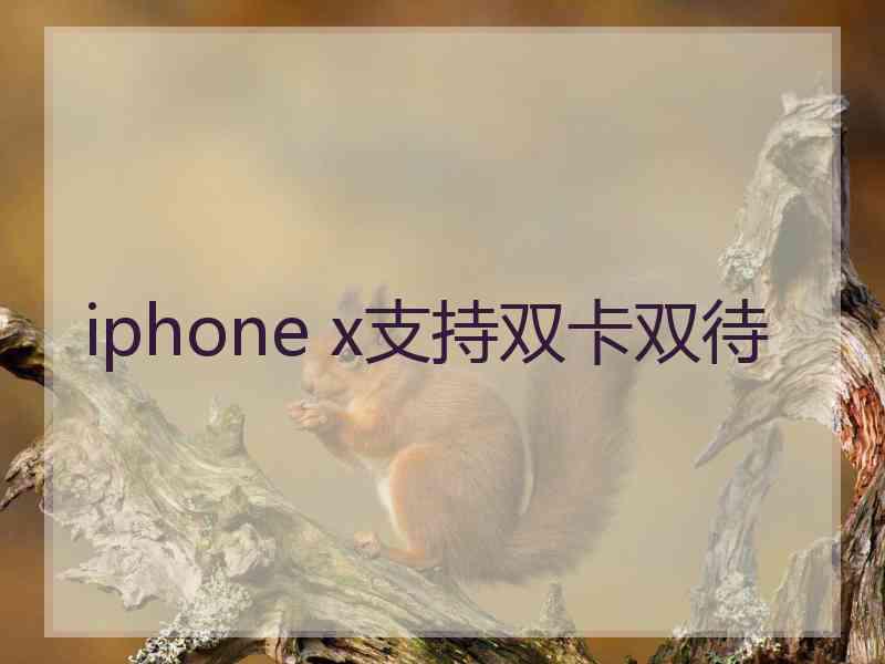 iphone x支持双卡双待