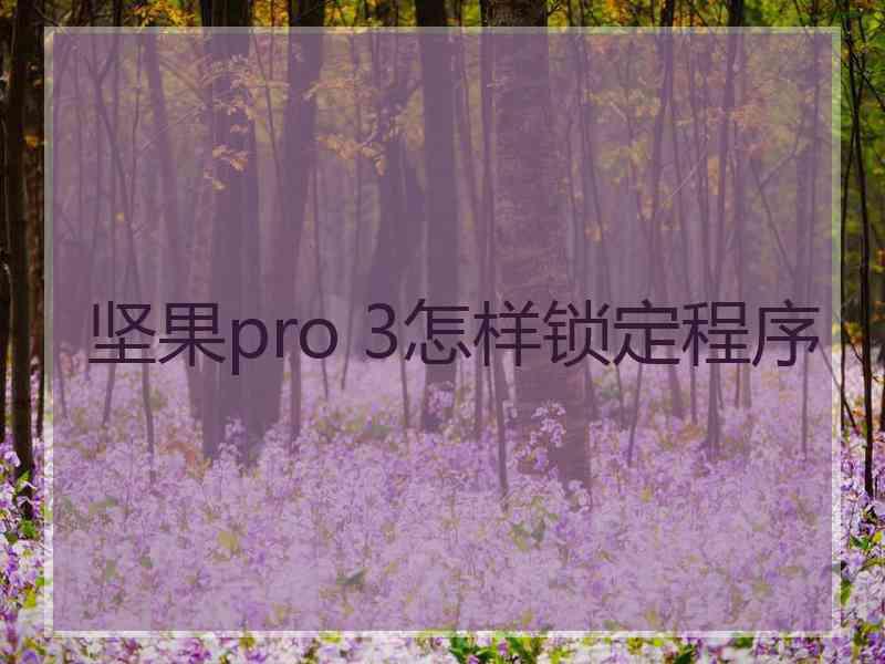 坚果pro 3怎样锁定程序