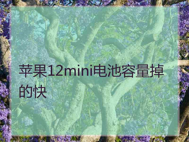 苹果12mini电池容量掉的快