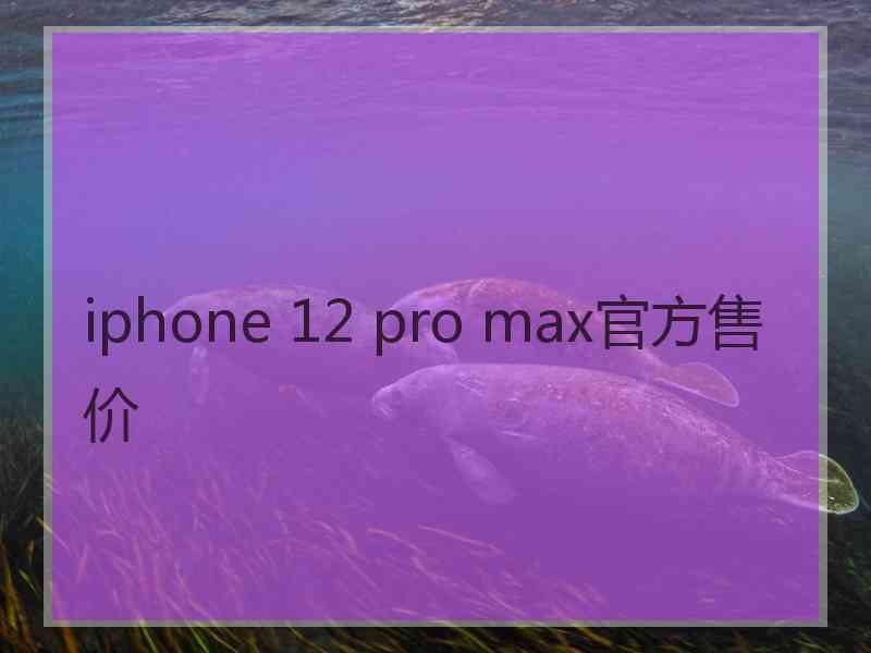 iphone 12 pro max官方售价