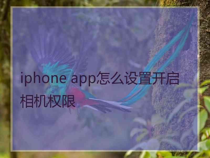 iphone app怎么设置开启相机权限